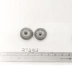 Click for 1 image(s) for this accession. FRUIT